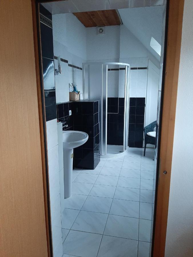 Apartmany Pod Hradem Holstejn エクステリア 写真